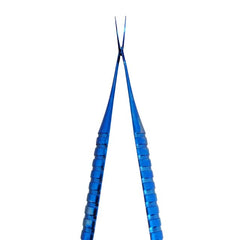 Ophthalmic Cross Action Capsulorhexis Forceps Curved Titanium Spring Action